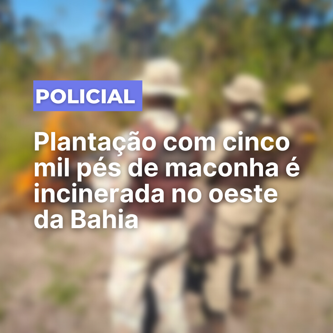Secretário de Cultura e Turismo de Bom Jesus da Lapa se reúne com equipe do Sicoob para discutir parcerias culturais
